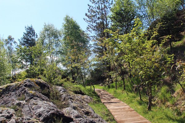 One of the many paths through Ard Daraich gardens