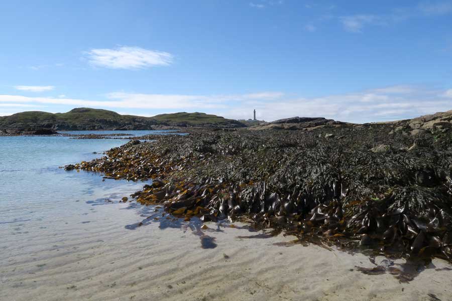 Bay MacNeil Beach near Ardnamurchan Point
