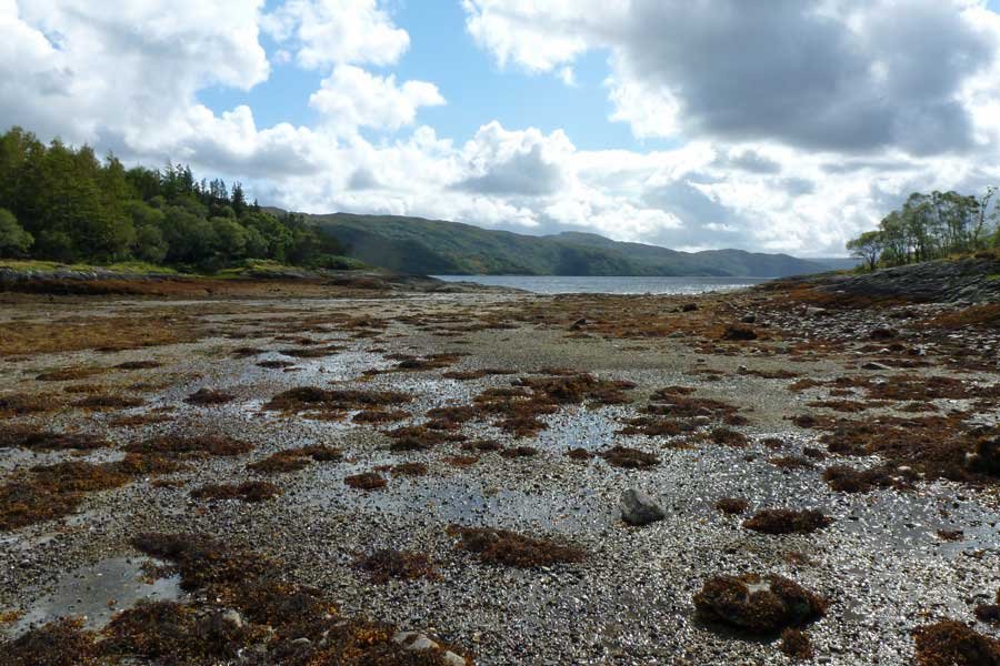 The Bay of Flies on Loch Sunart