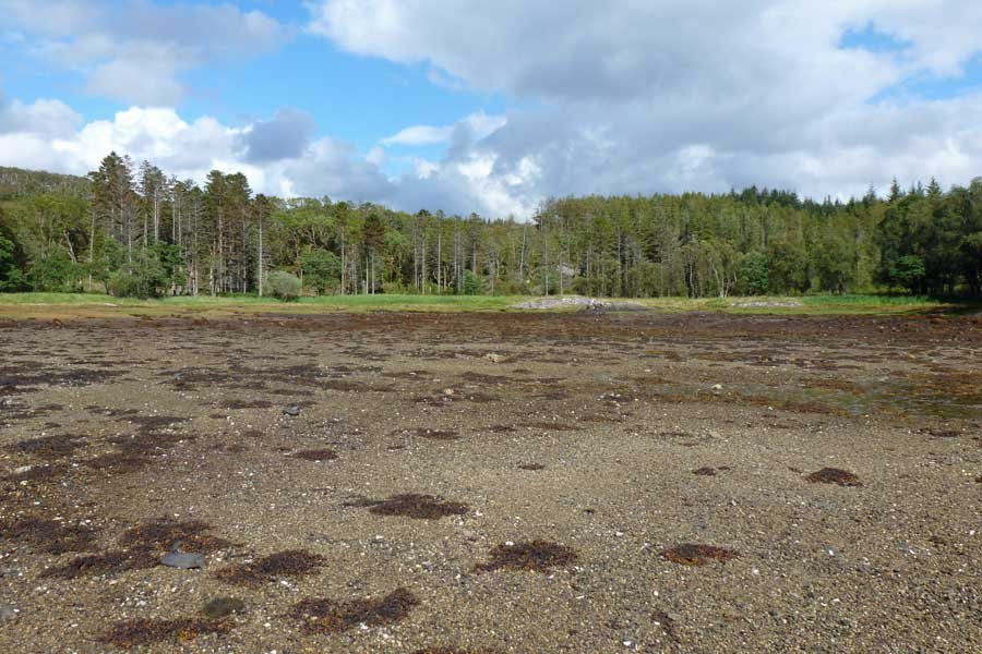 The Bay of Flies on Loch Sunart