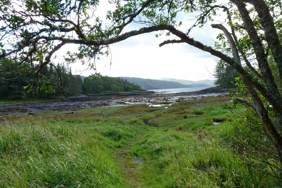 The Bay of Flies on Loch Sunart