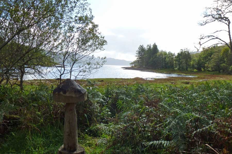 The Bay of Flies on Loch Sunart