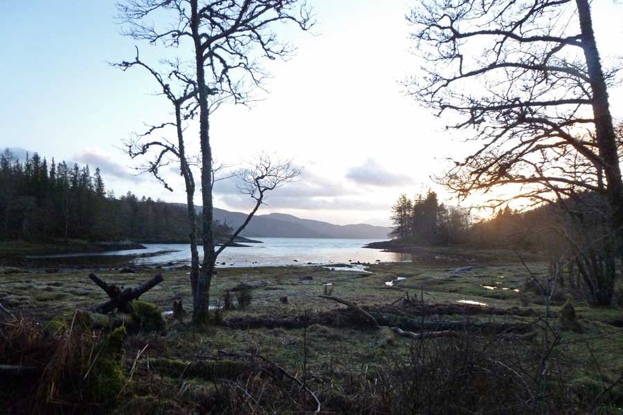 The Bay of Flies on Loch Sunart