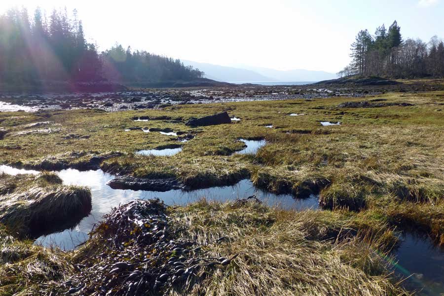 The Bay of Flies on Loch Sunart