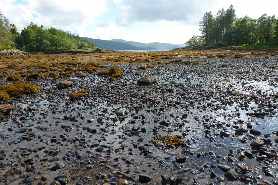 The Bay of Flies on Loch Sunart