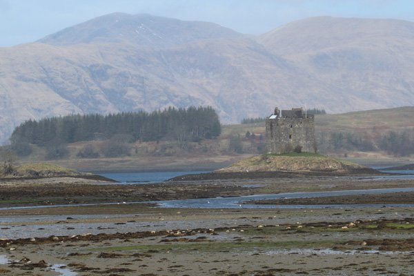 Castle Stalker at low tide