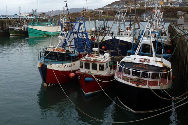 The Fishing Fleet at Mallaig