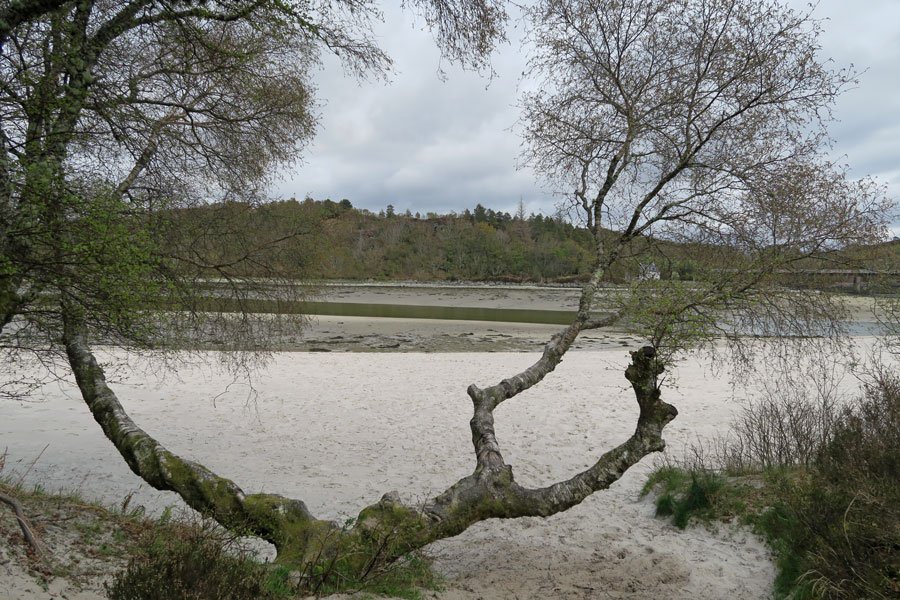 The Silver Sands of Morar