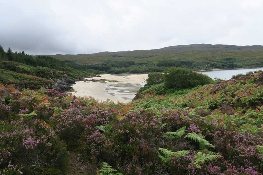 The Singing Sands