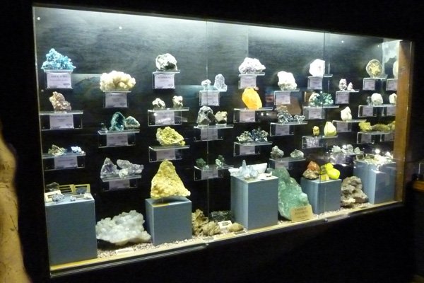 Mixed Display Case