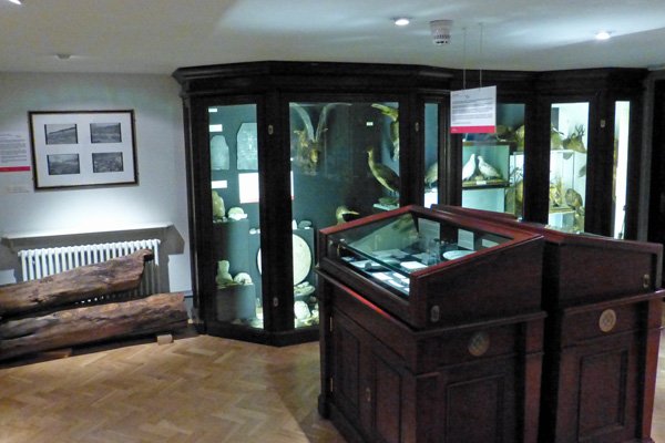 Natural History at The West Highland Museum