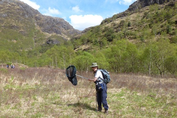 Searching for Chequered Skipper