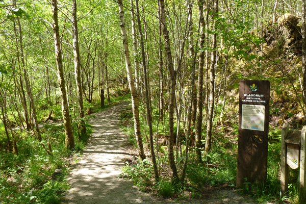 Glasdrum NNR