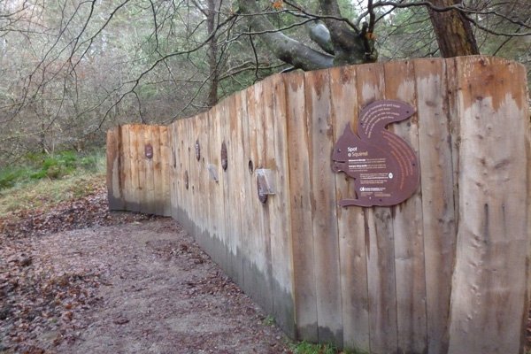 Top Five Walks on Wild About Lochaber