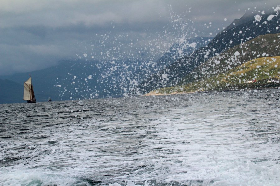 A trip to see The Manx Shearwaters off The Isle of Rum