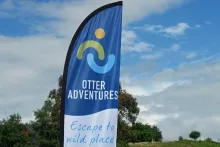 Otter Adventures