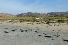 Peanmeanach Beach