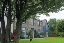 Lime Tree An Ealdhain