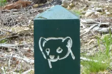 The signposts on route for the Pine Marten Trail