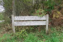 Killiechonate Woodland Walk