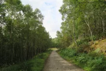The River Lundy Trail