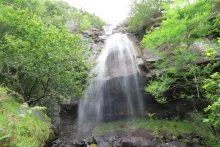 Tennyson's Waterfall Walk, Ardtornish, Morvern