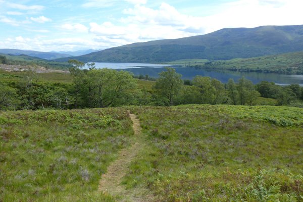 The grassy path up the hill is a good place for butterflies