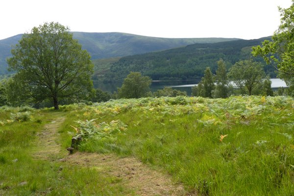 Grassy path back down the hill with fine views over Loch Arkaig