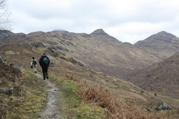 The path to the old lead mines above Ariundle oakwoods