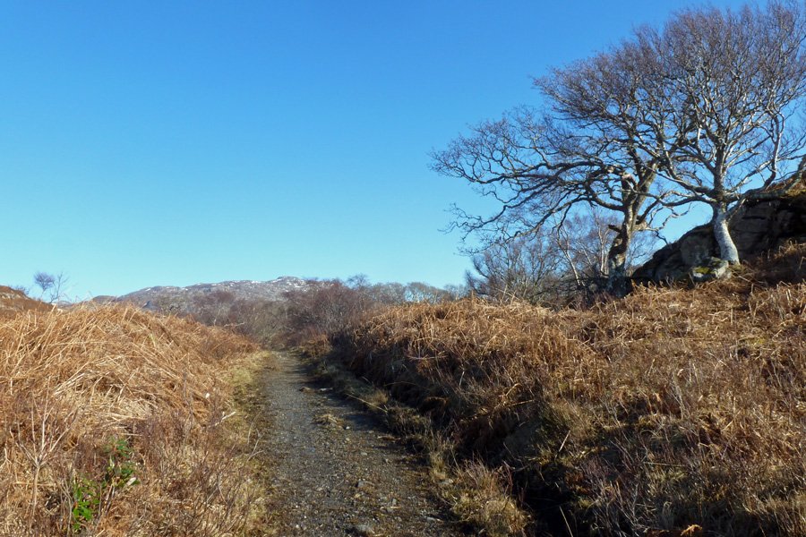 Turn left on the grassy/gravel path to head towards the cave and beach
