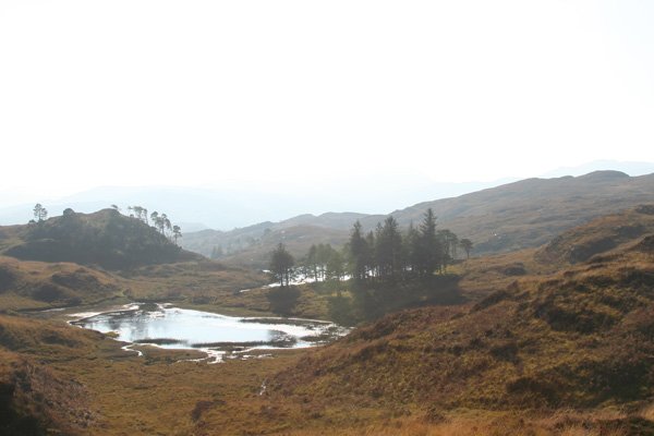 Loch na Fola