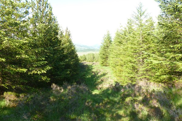 A small track continues at the end end of the trcak on the OS map