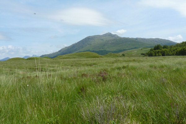 Looking over Claish Moss to Ben Resipole