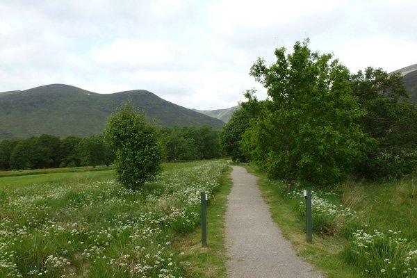 Near the start of the walk on the Alt Dubh Trail