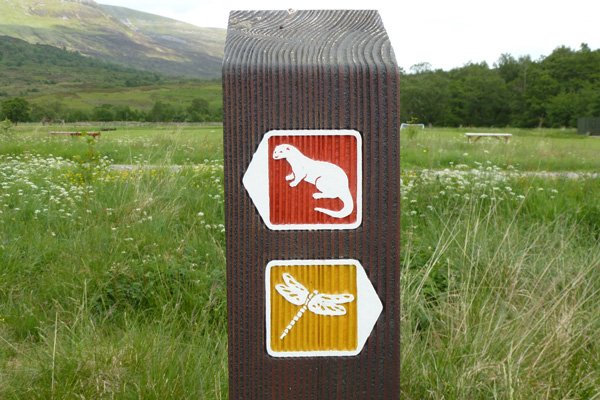 The Alt Dubh Trail and An Sidhean Trail 