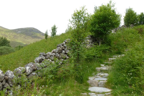 Climbing the stone steps to the viewpoint on the Alt Dubh Trail