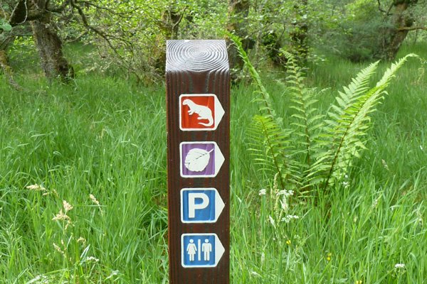 On the Alt Dubh Trail and Alder Trail
