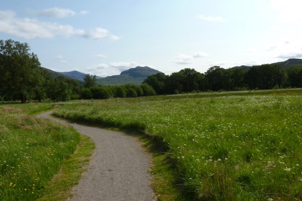 Passing through meadow on the Alder Trail 
