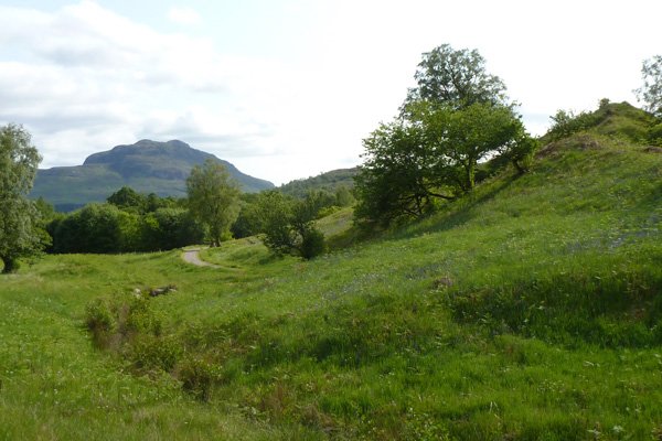 The Fairy Knoll
