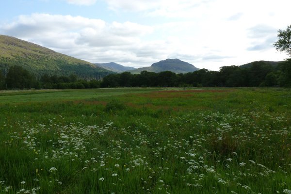 One of the many lovely views on An Sidhean Trail 