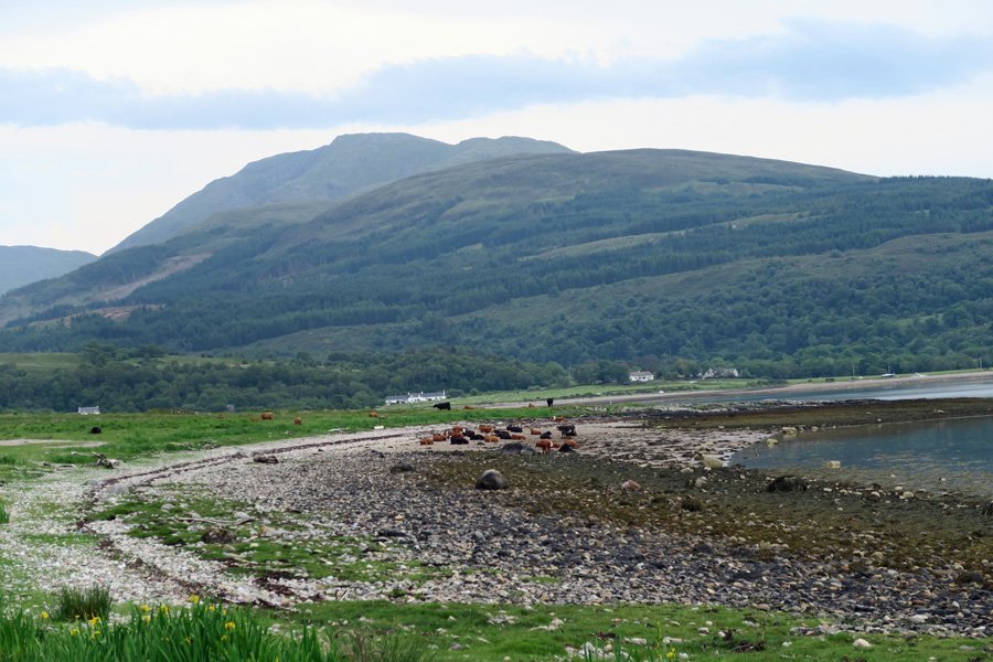 Looking back from Rubha Meadhonach after skiringt round the edge of the shingle beach