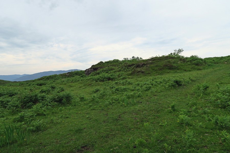 The path soon divides - head left to Rubha Mor