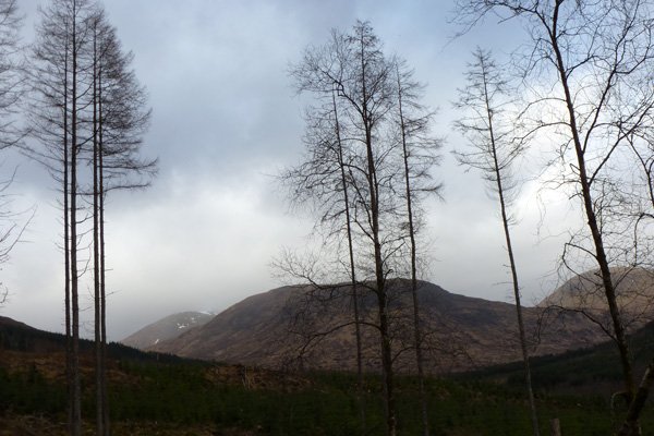 view to Meall Onfhaidh on the yellow walk