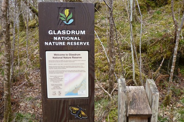 Information board and leaflet box, Glasdrum National Nature Reserve