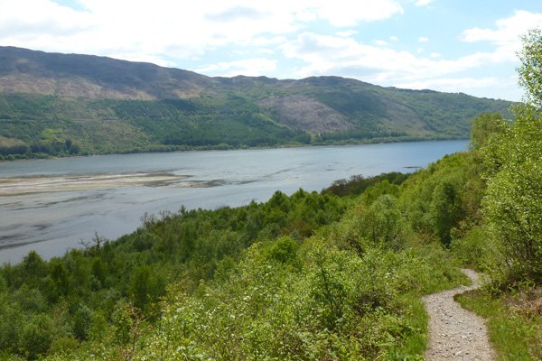 Lovely views are afforded of Loch Creran on route