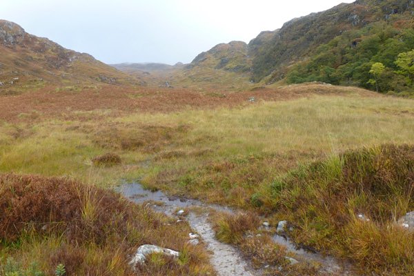 Where the Upper and Lower Paths Diverge