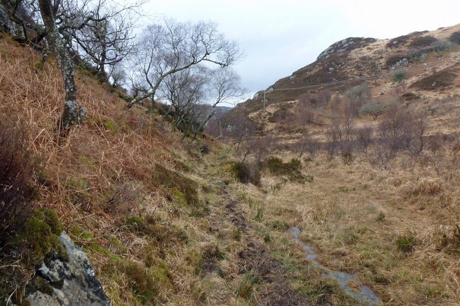 RSPB Glenborrodale