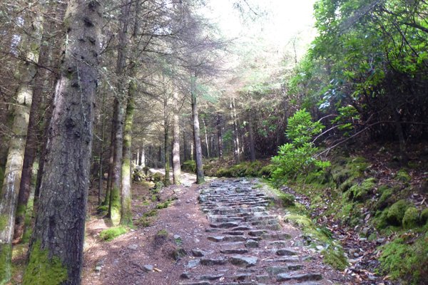 The Mountain Path heading into the hills