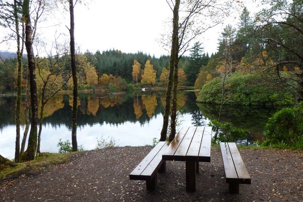 One of the many picnic benches
