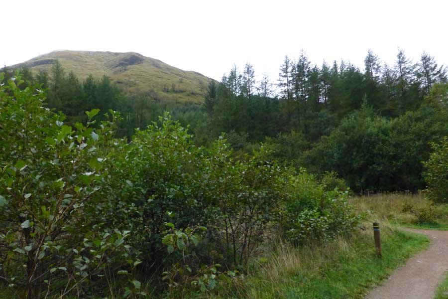 Glencoe Woodland Walk